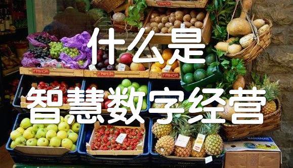 一文让你读懂什么是智慧数字经营