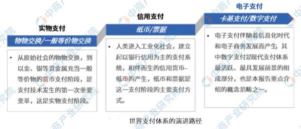 2021年中国数字支付行业市场前景及投资研究报告