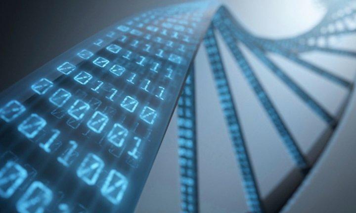 微信十年,从「数字化生存」到「数字化生活」