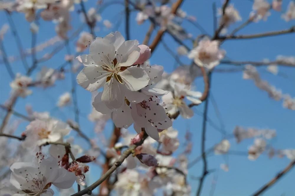 从刷脸支付到智慧数字经营,组合创业里的商机之道