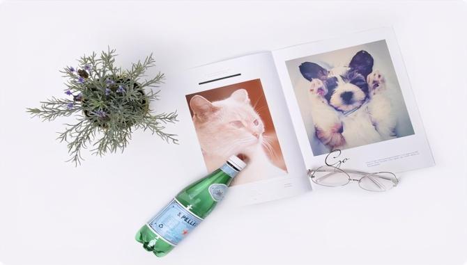 新知达人, 微火：为什么支付服务商自己不研发智慧数字经营系统而选择OEM