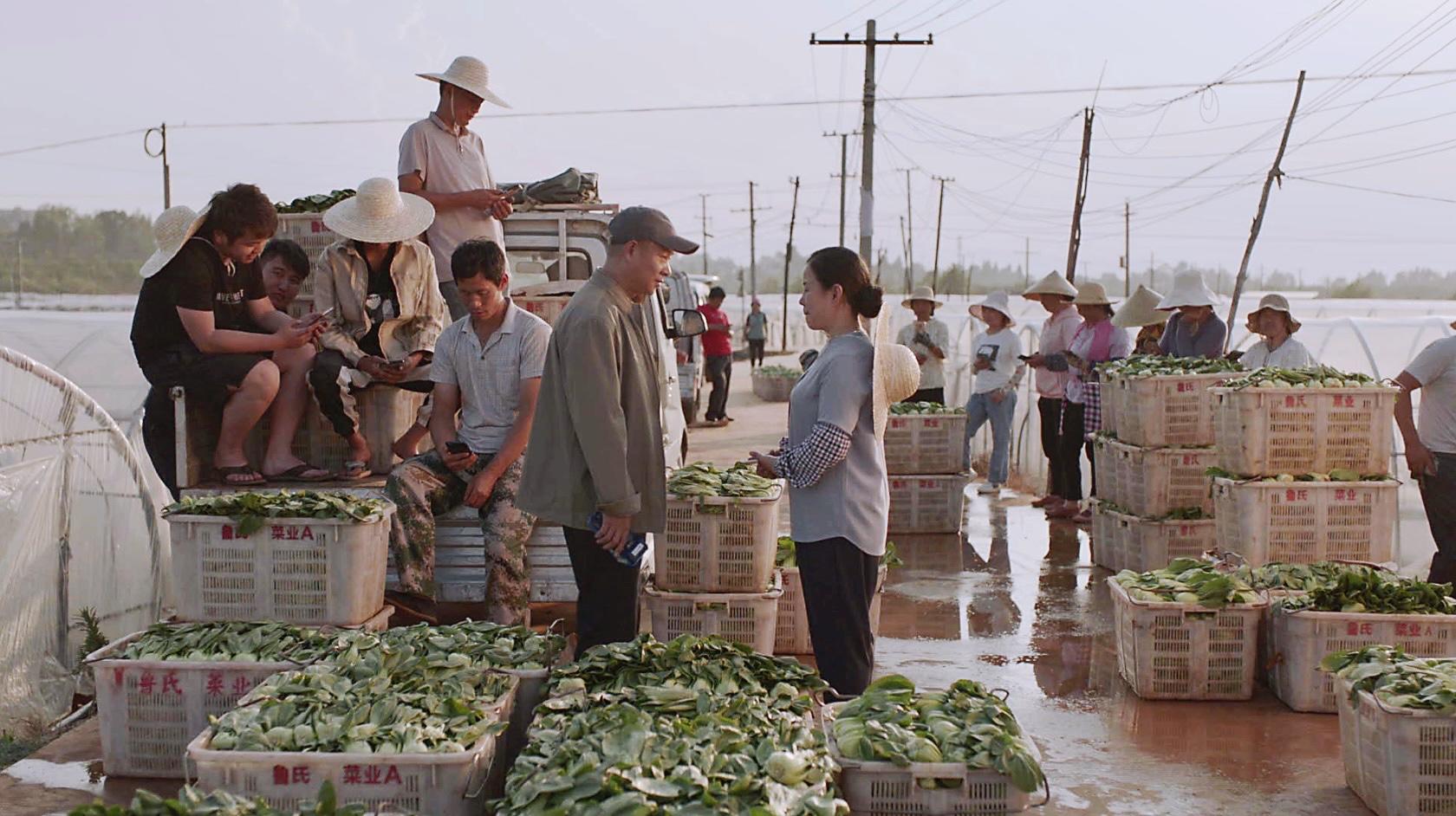 菜商通过云闪付结算菜农的卖菜钱款