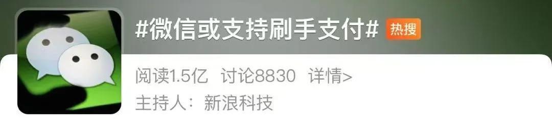 未来支付新方式：刷掌支付