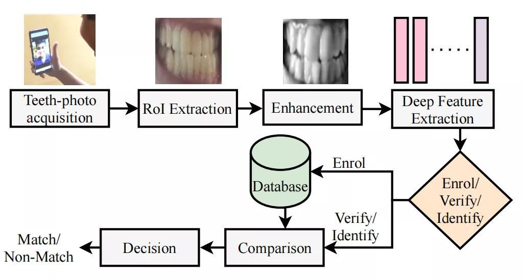 未来支付新方式：刷掌支付