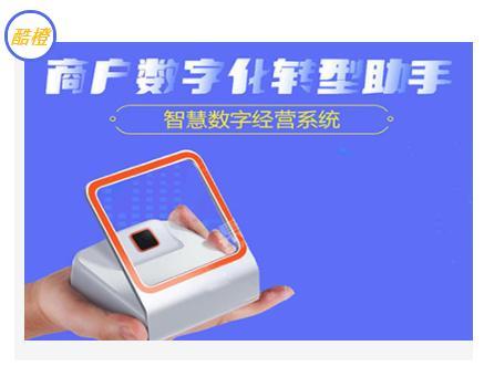 支付行业风口项目:智慧数字化经营3.0